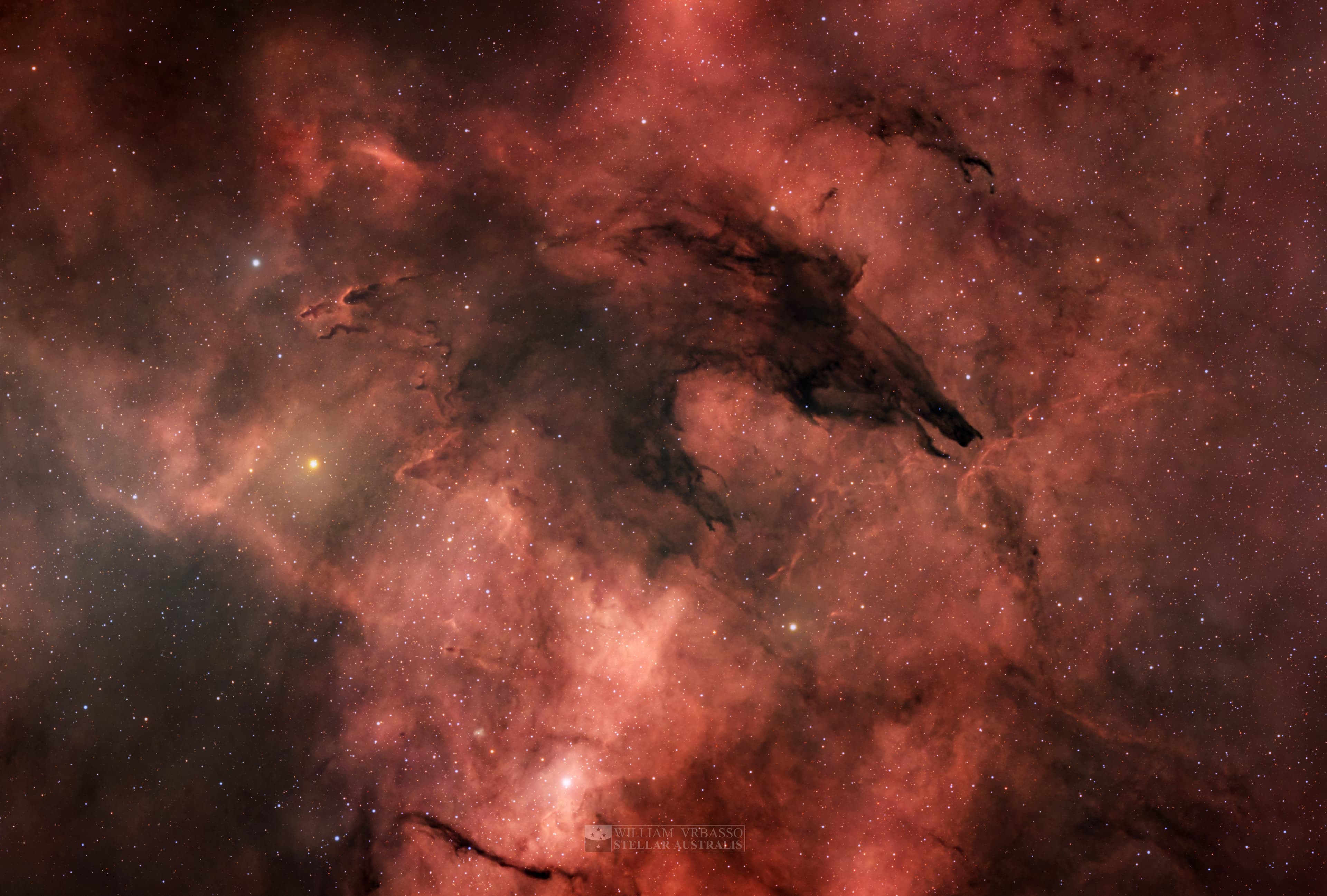 NASA obrázek dne: Mlhovina Dark Wolf