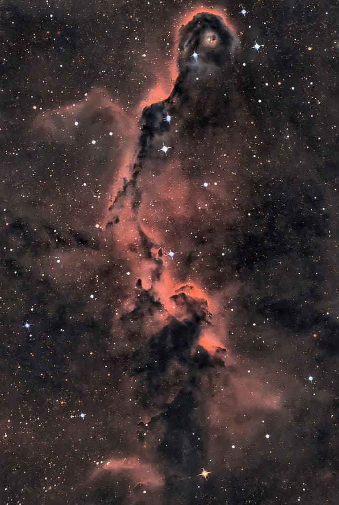 NASA obrázek dne: Sloní chobot v souhvězdí Cepheusa